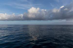 Flaute in den Kalmen